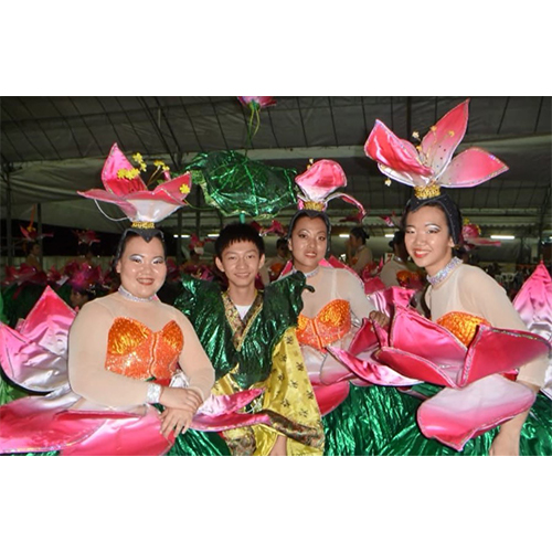 Dancer Experienced Performer Lynn Goh Chingay Parade